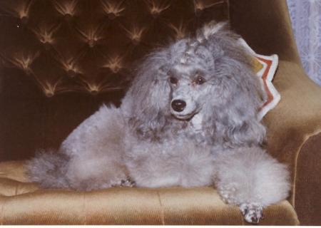 Alka Smoky Top Libreco - Cindy