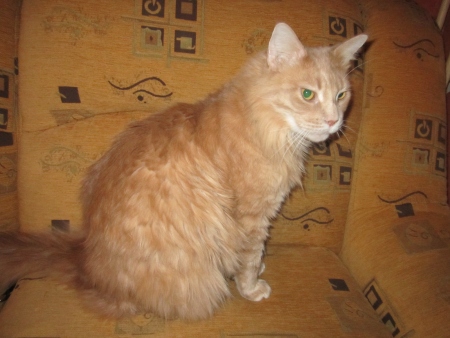 Victor of Beyrouth (Viktorek)