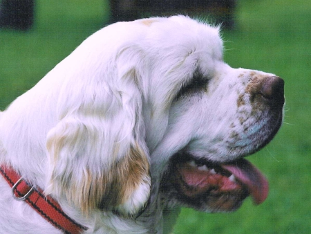 Aiwin Miracle z Jarensjaru - Aiwinek