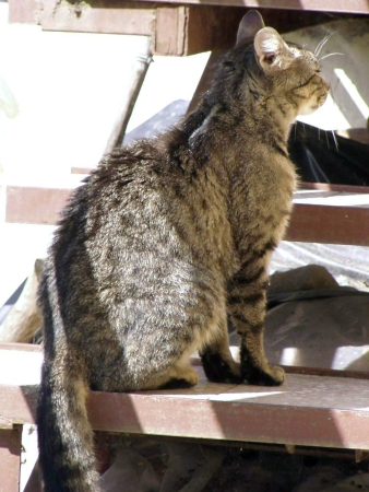 Nase Čertička-čertík